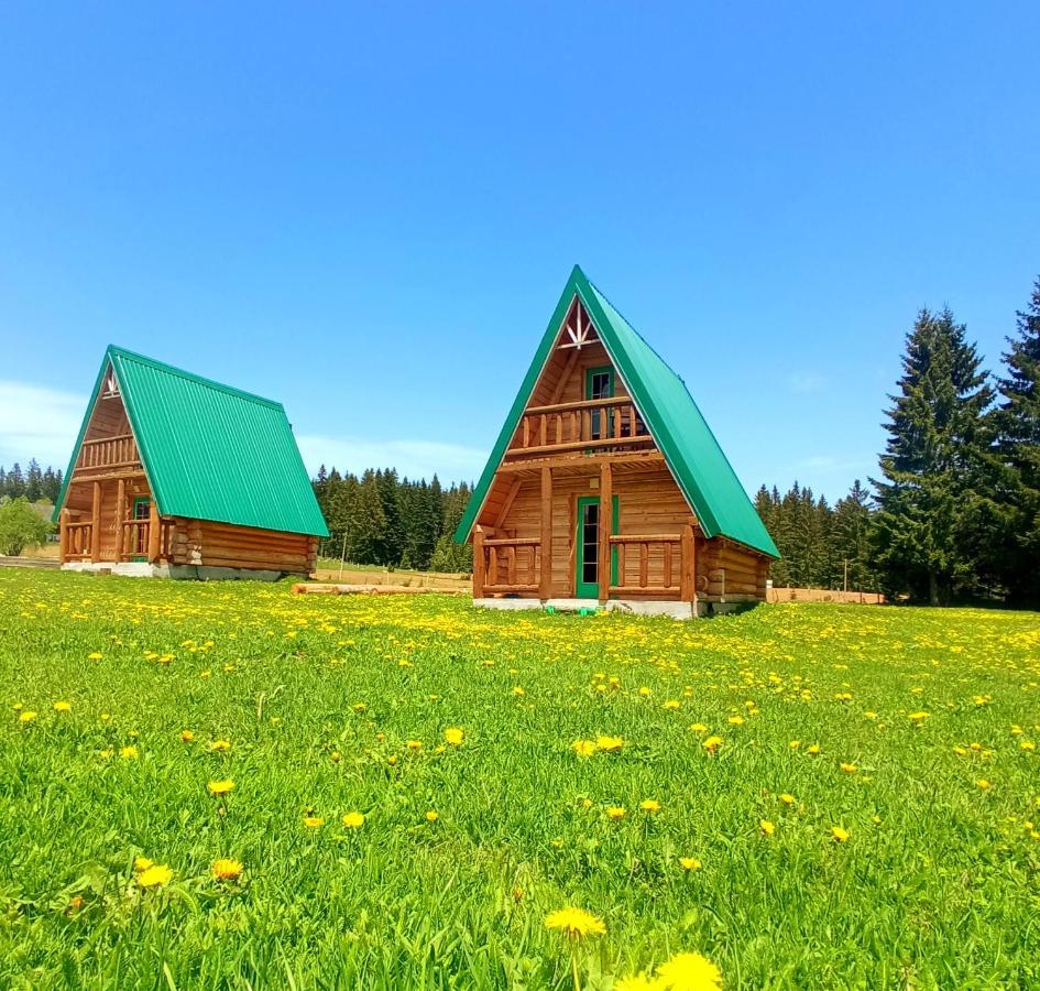 Villa Etno Housse Uskoci à Žabljak Extérieur photo