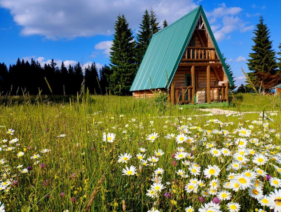 Villa Etno Housse Uskoci à Žabljak Extérieur photo